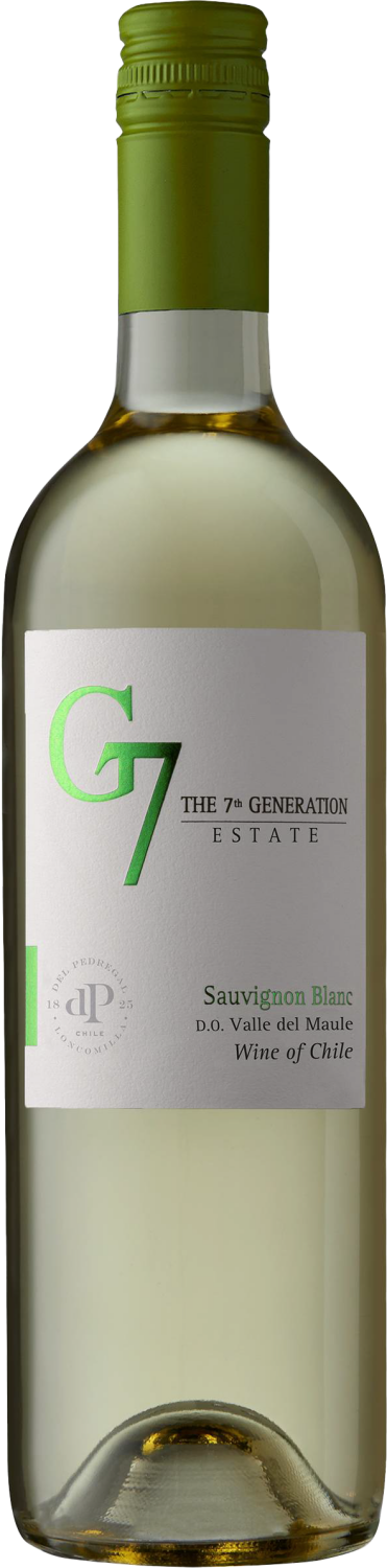 Вино G7 Sauvignon Blanc Maule Valley DO Viña del Pedregal G7 Sauvignon Blanc Maule Valley DO Viña del Pedregal