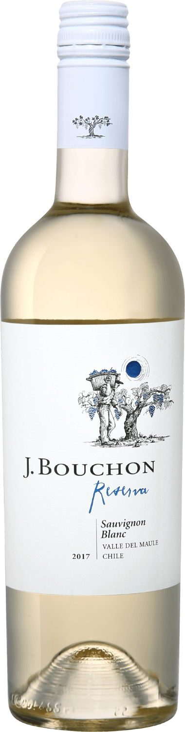 Вино Sauvignon Blanc Reserva Maule DO J. Bouchon Sauvignon Blanc Reserva Maule DO J. Bouchon