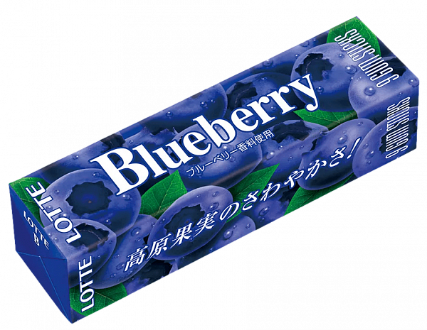 Lotte Blueberry Gum 