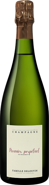 Meunier Perpetuel Extra Brut Champagne AOC Famille Delouvin, 0.75 л в Саратове