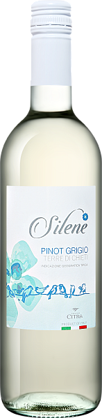 Silene Pinot Grigio Terre di Chieti IGT Citra, 0.75 л в Саратове